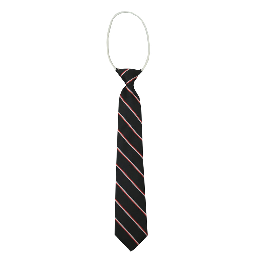 Divine Mercy College Tie - Plastic Ring