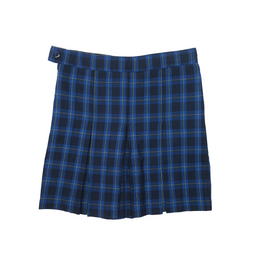 ECPGCULW_NAVYCHECK_1_1775631657