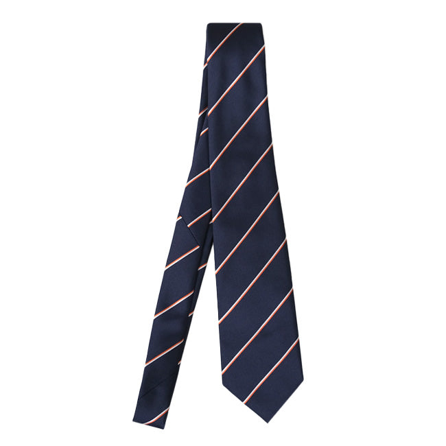 FCZXBTIE_STRIPE_1_1768467643