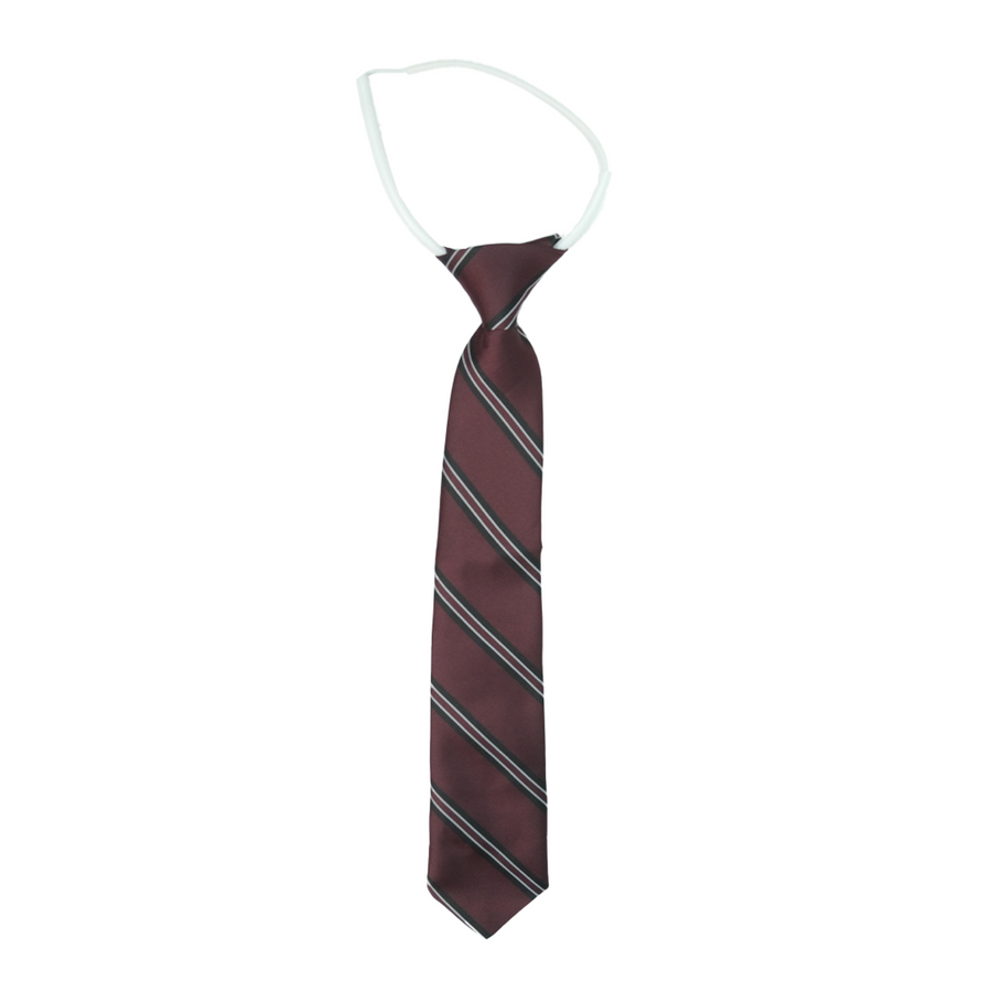 HSPXBTIE_MAROON_1_1775631707