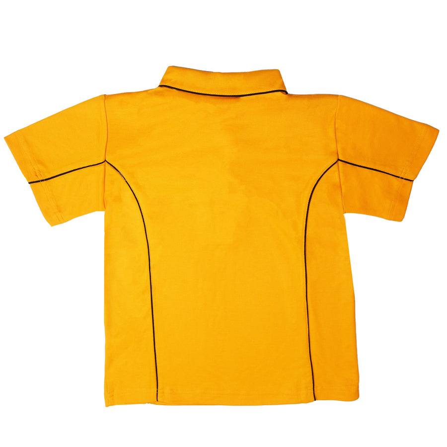 RCPUPOL_GOLD_2_1764577116