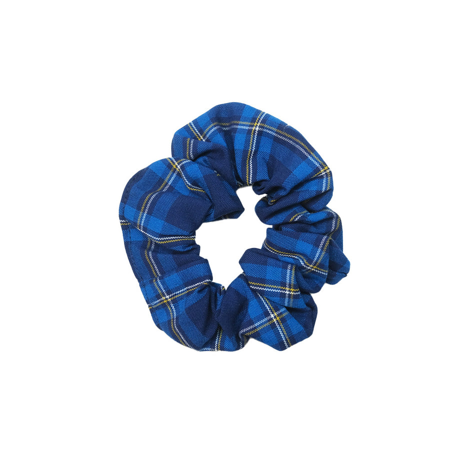 SAPZXSCR_BLUE_1_1780891294