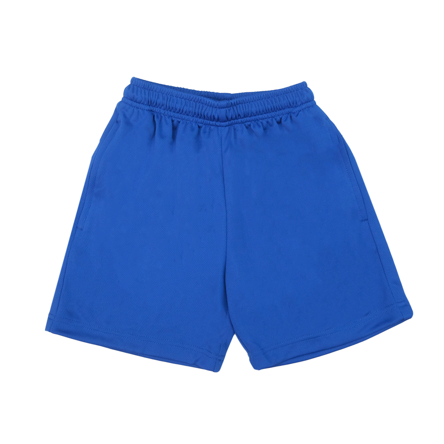 Micormesh Shorts - Royal